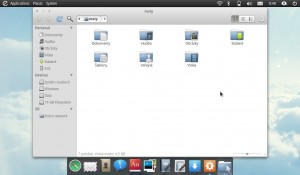 elementary OS správce souborů